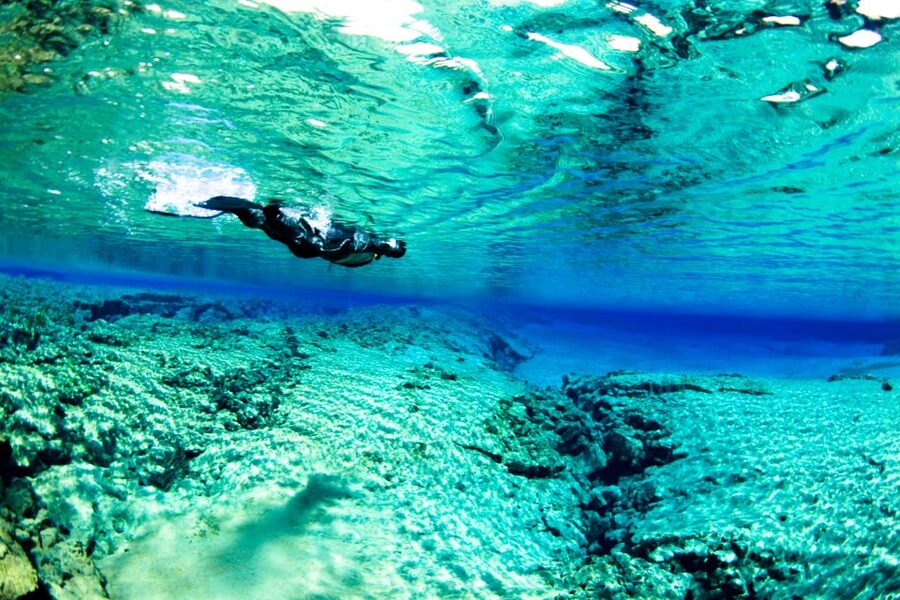 Reykjavík: Silfra Fissure Snorkeling and Lava Caving Tour - Should you book the Silfra and lava caving tour?