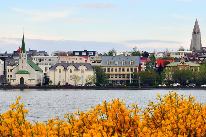 Reykjavik Walking Tour - Walk with a Viking - Lake Tjörnin and the quieter side of town