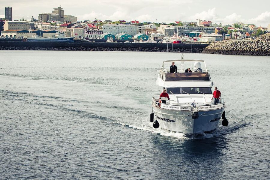 Reykjavik: Whale Watching and Dolphin Watching Yacht Cruise - Key points to know before sailing