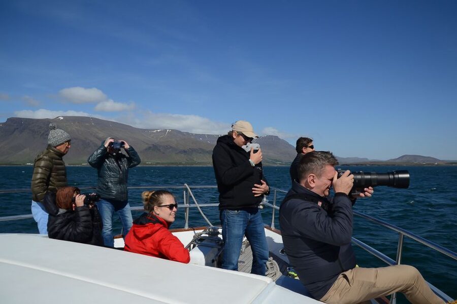 Reykjavik: Whale Watching and Dolphin Watching Yacht Cruise - Staying warm on a cold, wet boat