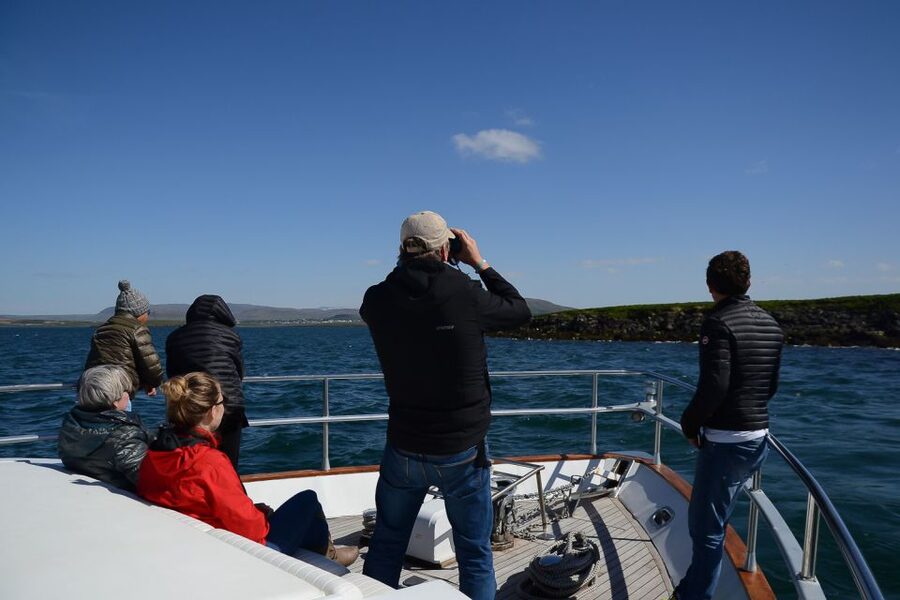 Reykjavik: Whale Watching and Dolphin Watching Yacht Cruise - What the three hours really feel like