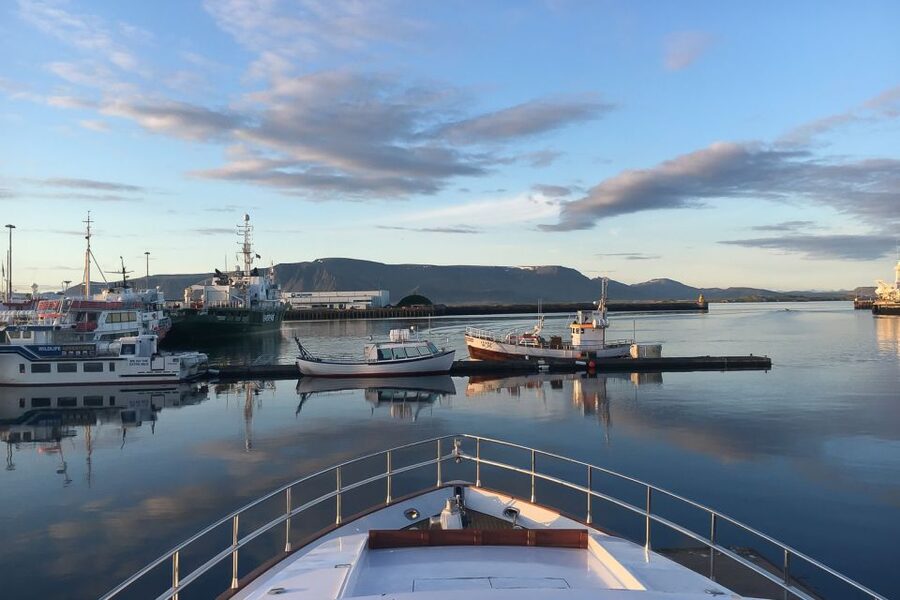 Reykjavik: Whale Watching and Dolphin Watching Yacht Cruise - The first stretch: coast, islands, and Reykjavík views