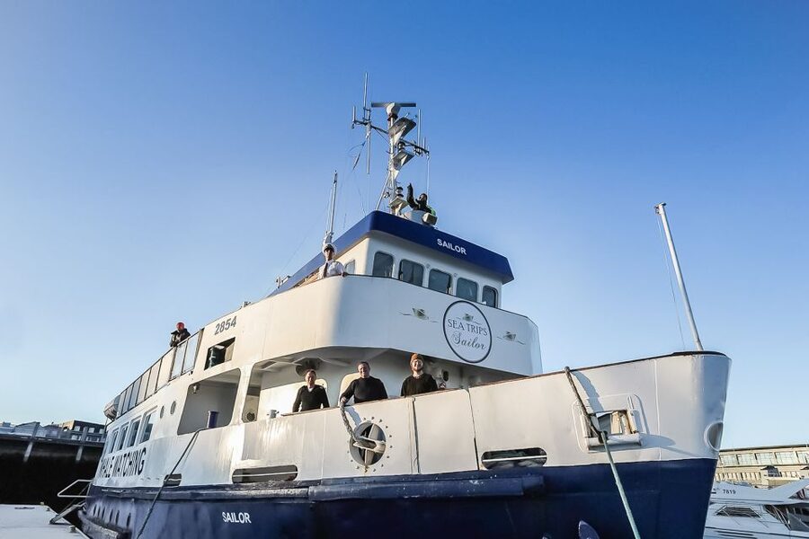 Reykjavík: Whale Watching and Marine Life Cruise - Is the $87 price fair?