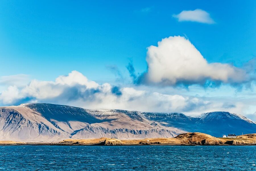 Reykjavík: Whale Watching and Marine Life Cruise - Why Faxaflói Bay makes a good whale-watching setting