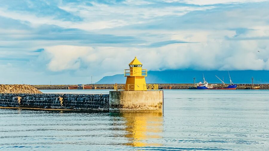 Reykjavík: Whale Watching and Marine Life Cruise - Whale watching outside the summer season