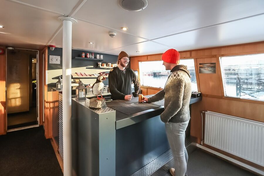 Reykjavík: Whale Watching and Marine Life Cruise - The guides and the value of live commentary