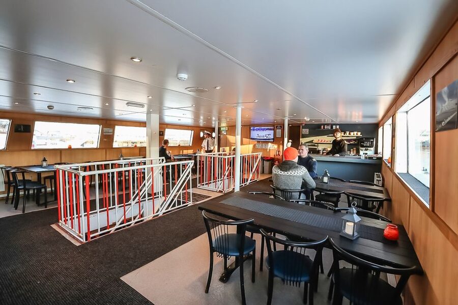 Reykjavík: Whale Watching and Marine Life Cruise - Staying warm on the boat