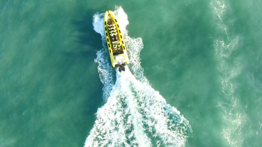 Reykjavik: Whale Watching by RIB Speedboat - FAQ