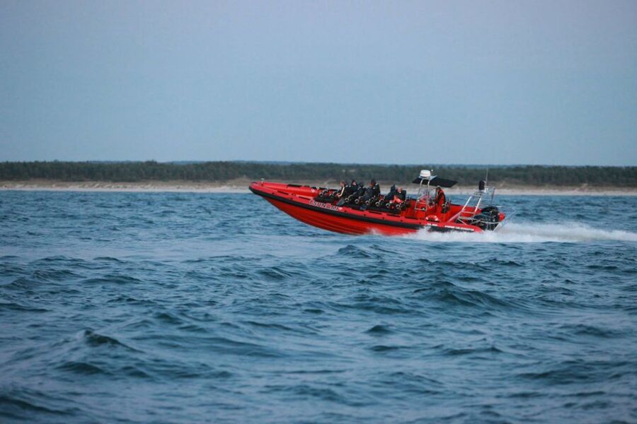 Reykjavik: Whale Watching by RIB Speedboat - Weather, seasons, and the odds of seeing wildlife