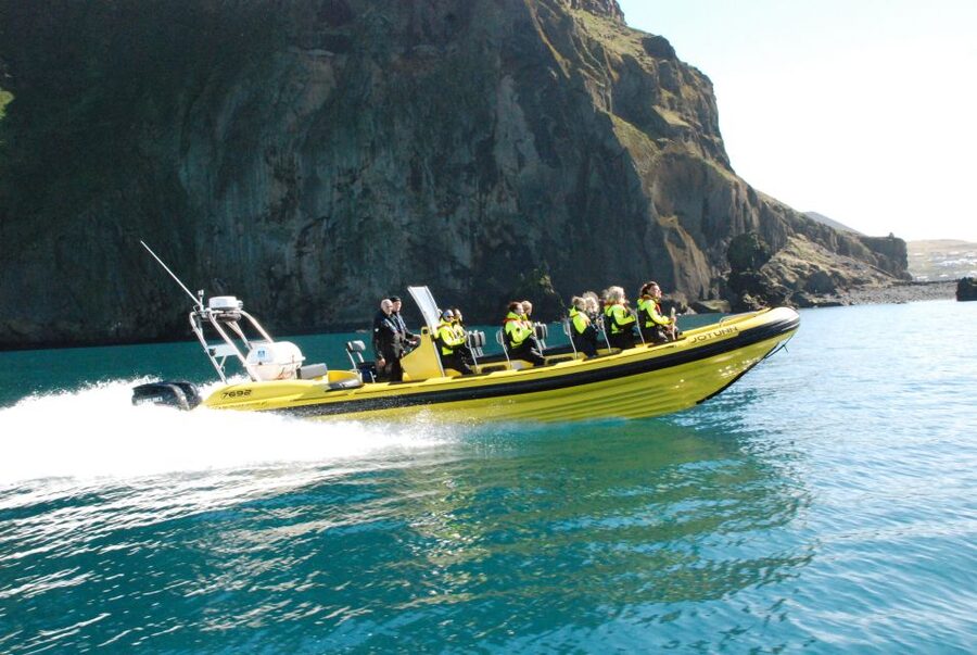 Reykjavik: Whale Watching by RIB Speedboat - Should you book this Reykjavík whale trip?