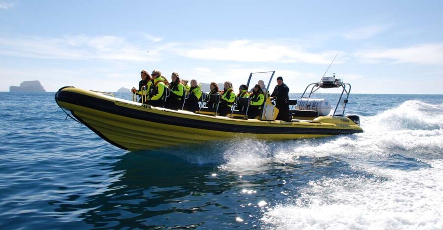 Reykjavik: Whale Watching by RIB Speedboat - Humpbacks, minke whales, dolphins, and porpoises