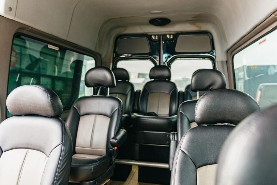 Reykjavík: Whale Watching Cruise on the Amelia Rose Yacht - Guides, commentary, and spotting help