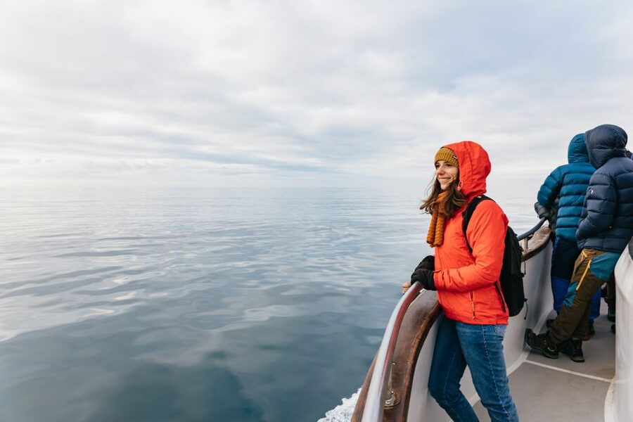 Reykjavík: Whale Watching Cruise on the Amelia Rose Yacht - How likely are you to see whales?