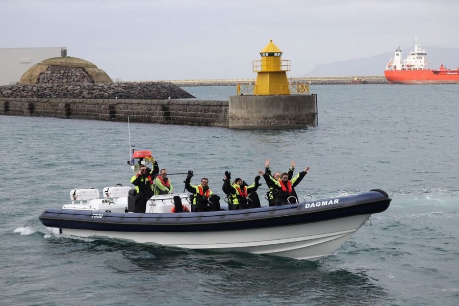 Reykjavik: Whale Watching Tour by RIB Boat - The Guides and What They Add