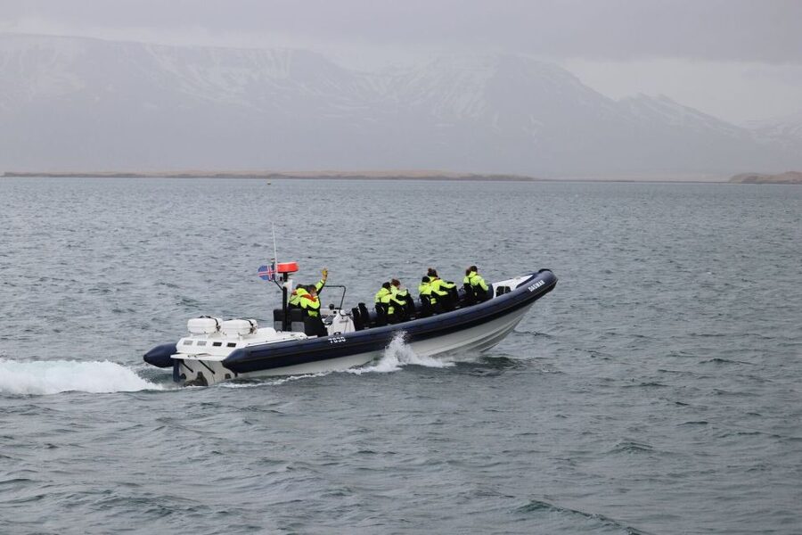 Reykjavik: Whale Watching Tour by RIB Boat - Best Time to Go