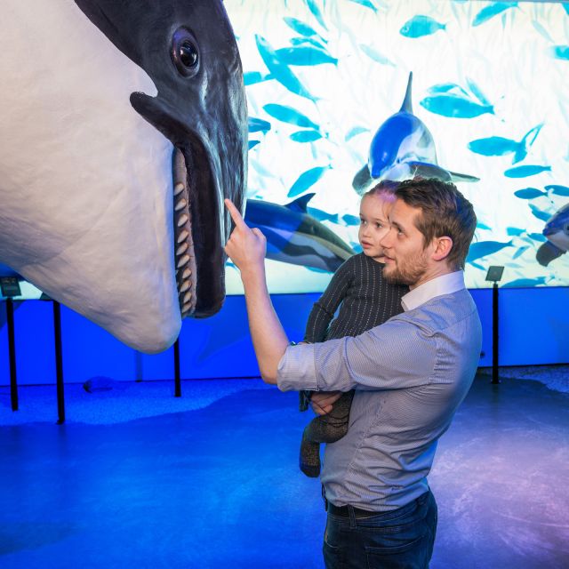 Reykjavik: Whale Watching Tour, Whales of Iceland Exhibition - What the boat experience feels like