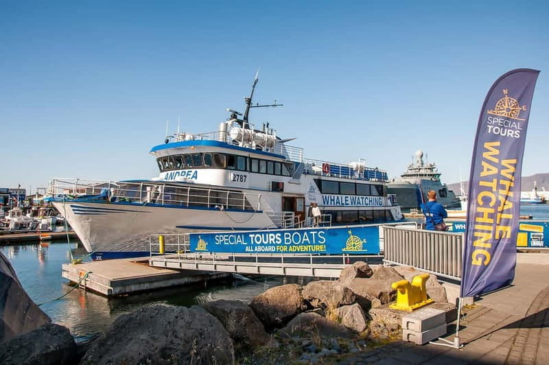 Reykjavik: Whale Watching Tour with Expert Guide - What you may see in the bay