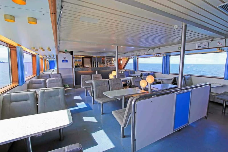 Reykjavik: Whale Watching Tour with Expert Guide - Who should book this whale watch?