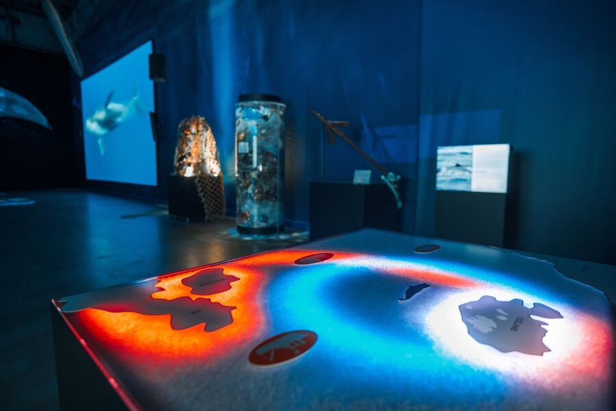 Reykjavik: Whales of Iceland Museum Entrance Ticket - The museum hall and its peaceful atmosphere