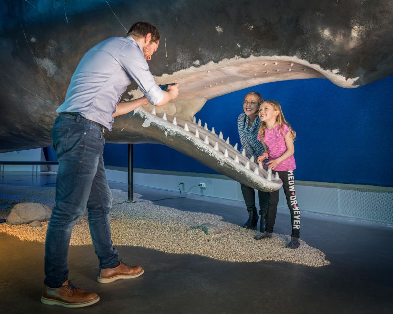 Reykjavik: Whales of Iceland Museum Entrance Ticket - Why the museum works after whale watching