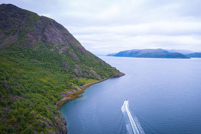 RIB Expedition to Seiland National Park - 3.5h - What the guides add to the experience