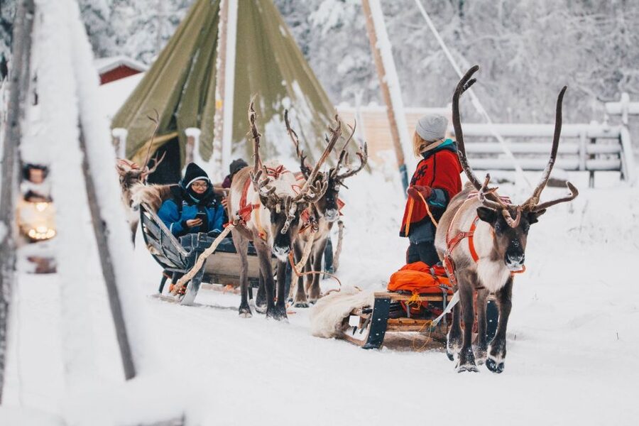 Rovaniemi: Apukka Reindeer Journey - The sleigh ride through snow and forest