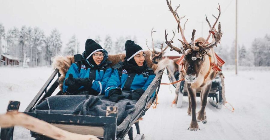 Rovaniemi: Apukka Reindeer Journey - Stories about reindeer husbandry and Finnish life