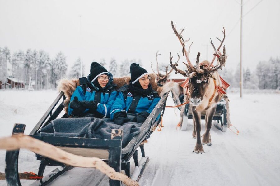 Rovaniemi: Apukka Reindeer Journey - Meeting and feeding the reindeer