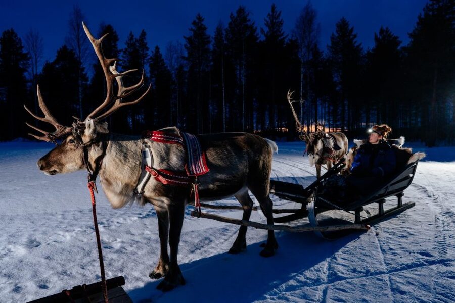 Rovaniemi: Apukka Reindeer Sleigh Ride at Night - What the reindeer sleigh ride feels like