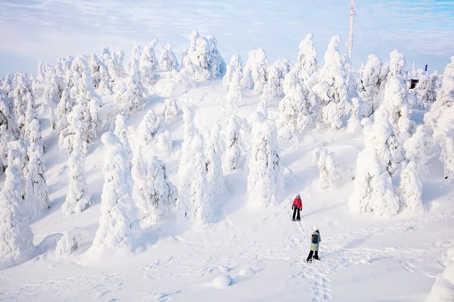 Rovaniemi: Arctic Animals Sleigh Rides and Wildlife Zoo - Why the guide can shape the whole day