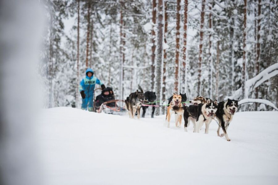 Rovaniemi: Arctic Circle Highlights by Snowmobile - A full Lapland day for $297