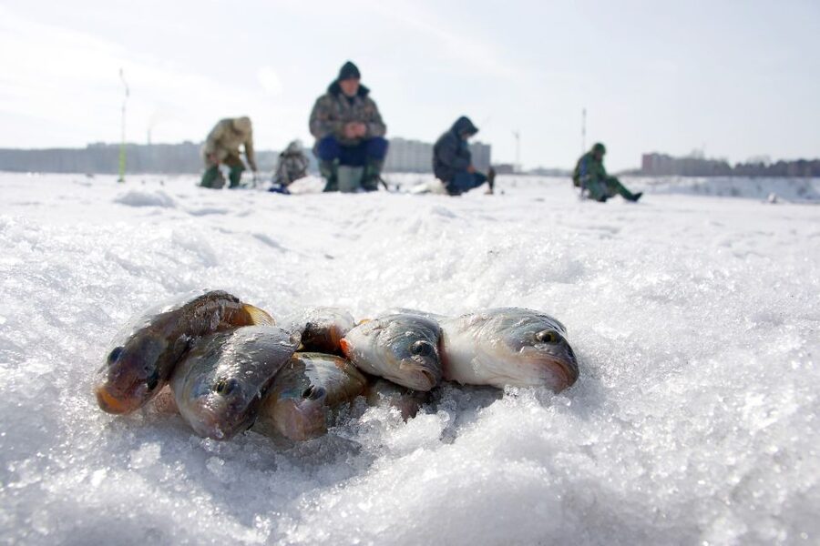 Rovaniemi: Arctic Circle Ice Fishing Experience - Campfire food after the fishing
