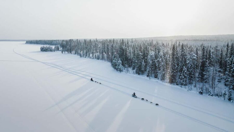 Rovaniemi: Arctic Circle Long Trail Husky Adventure - Meeting the Alaskan Huskies before and after the ride