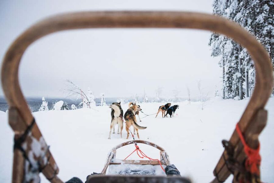 Rovaniemi: Arctic Circle Long Trail Husky Adventure - Two Rovaniemi pickup points, and why timing matters