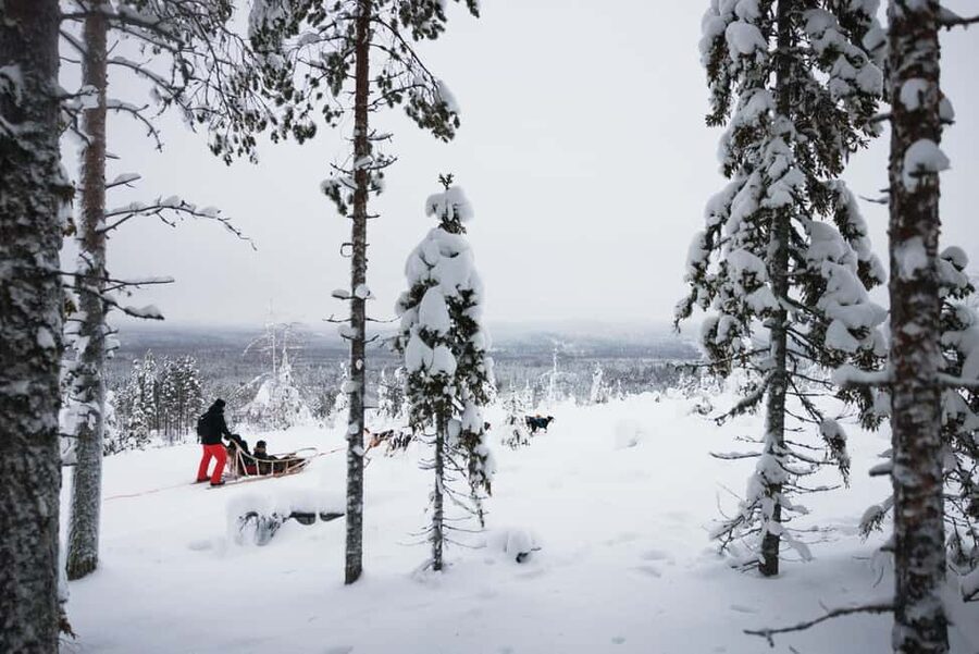 Rovaniemi: Arctic Circle Long Trail Husky Adventure - What could disappoint you