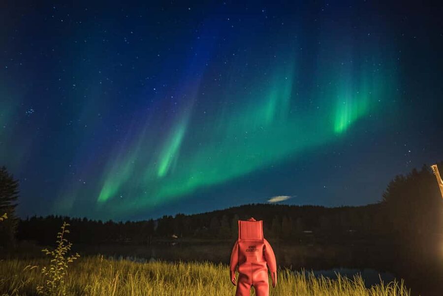 Rovaniemi: Arctic Ice Floating and Northern Lights Tour - Who will enjoy this most?