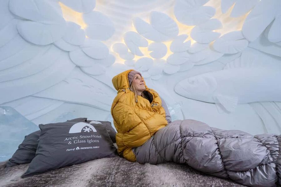 Rovaniemi: Arctic Snow Hotel Tour - Who will enjoy this most