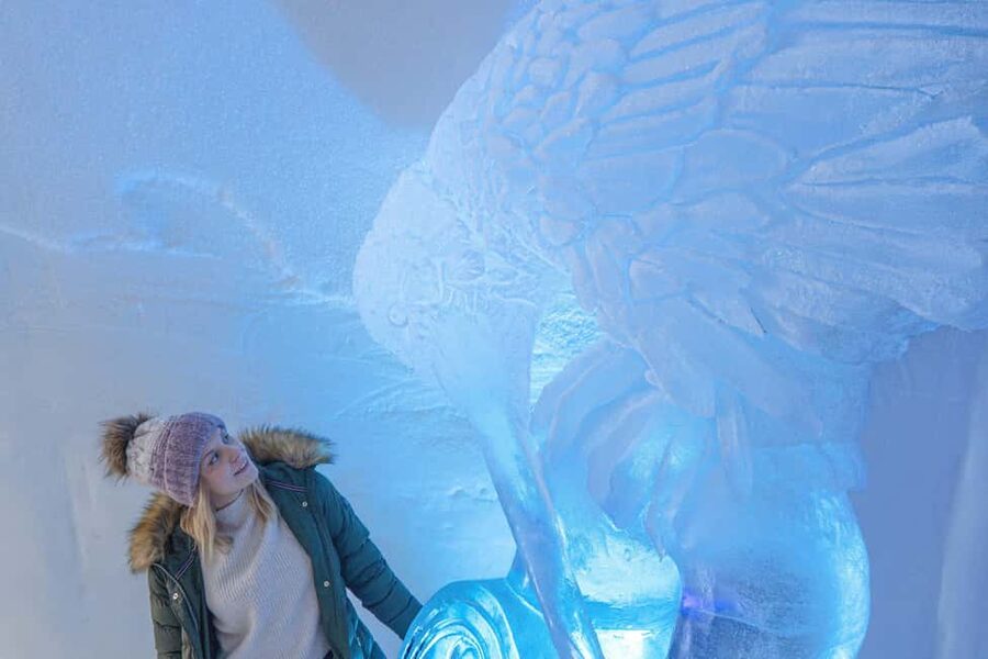 Rovaniemi: Arctic Snow Hotel Tour - The 45-minute guided tour