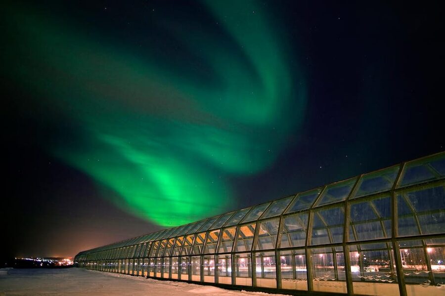 Rovaniemi: Arktikum Science Centre and Museum Entry Ticket - Arctic nature explained through seasons and science