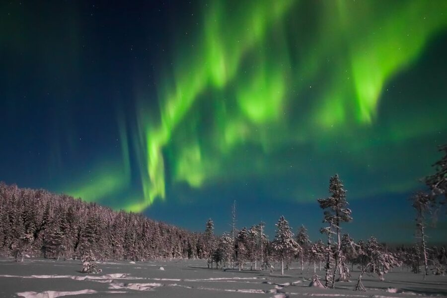 Rovaniemi: Aurora Borealis and Picnic - Final verdict: a good aurora attempt with a useful backup
