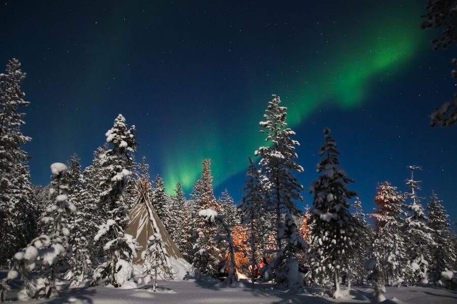 Rovaniemi: Aurora Borealis and Picnic - Settling beside the fire