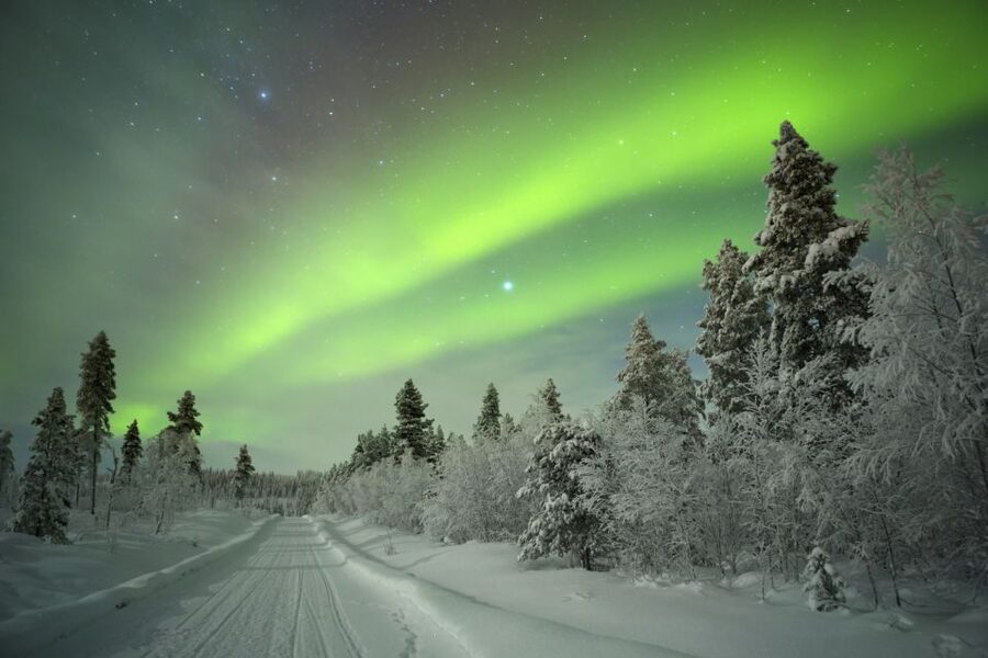 Rovaniemi: Aurora Borealis Snowmobile Safari with Campfire - Snowmobiling through forests and frozen country