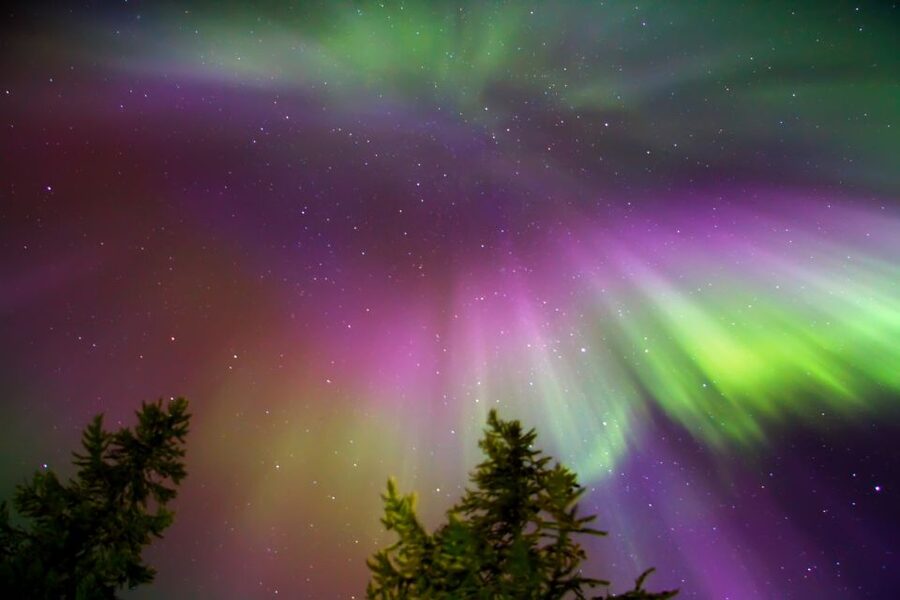 Rovaniemi: Aurora Borealis Snowmobile Safari with Campfire - Who should book this snowmobile safari?