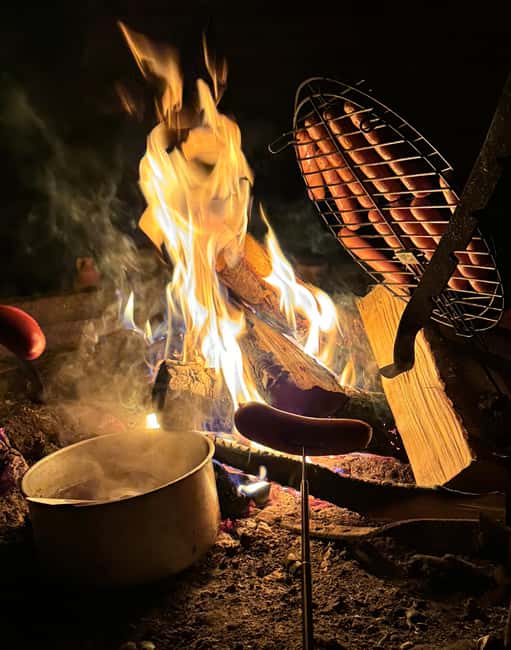Rovaniemi: Aurora hunting and a fireside BBQ experience - The barbecue is the warm center of the night