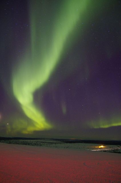 Rovaniemi: Aurora Hunting Tour with Photography by Van - Pickup from Rovaniemi and the small-group van