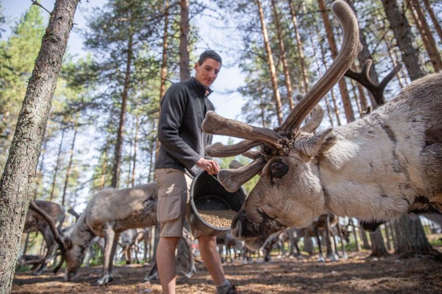 Rovaniemi: Authentic Reindeer Farm & Canoeing - Who will enjoy this experience most