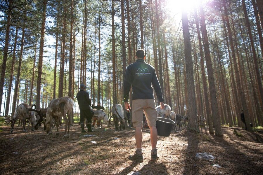 Rovaniemi: Authentic Reindeer Farm & Canoeing - Clothing matters more than the short duration suggests