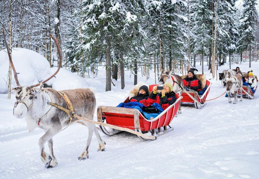 Rovaniemi: Authentic Reindeer Farm Visit & Short Sleigh Ride - Meeting Rovaniemi’s Reindeer at a Working Farm