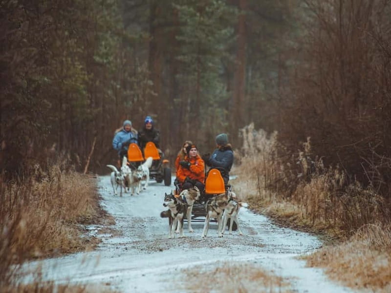Rovaniemi: Autumn Husky Ride on Wheels - Hot berry juice and the human side of the tour
