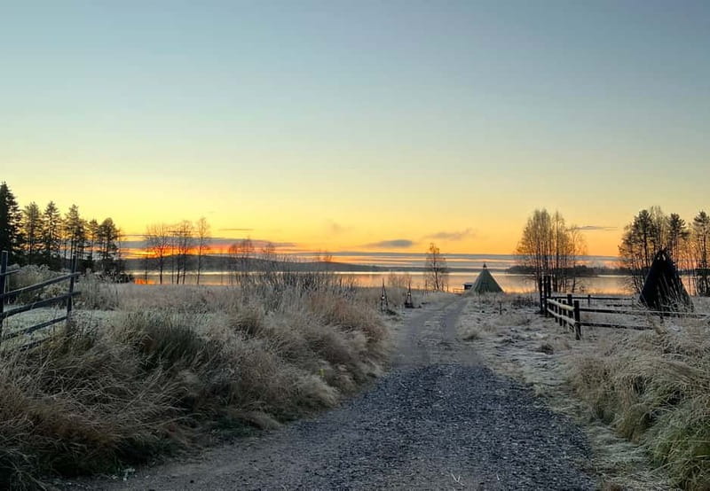 Rovaniemi: Autumn Husky Ride on Wheels - Before the dogs start running